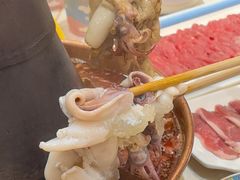 -清真·马家火锅美食城(镇江北路店)