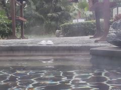 -海兰云天度假区温泉