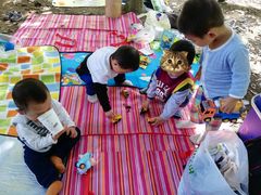 -铁山坪森林公园