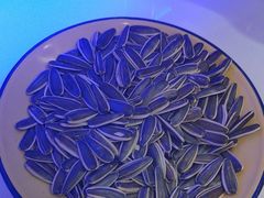 -徐家屯铁锅炖(宋家庄店)