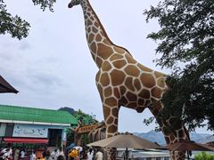 -西霞口神雕山野生动物世界