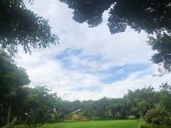 -五缘湾湿地公园