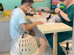-雨林宠物医院 非犬猫异宠专科