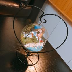 -Pink Gold Wedding·婚礼设计