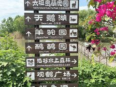 -池杉湖湿地公园