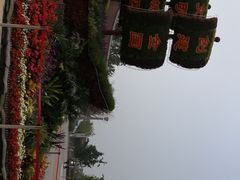 -大兴滨河森林公园