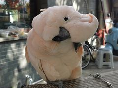 -四海楼(如皋定慧禅寺店)