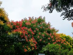 -长广溪湿地公园