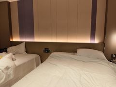 -麗枫酒店(北京西站北广场店)
