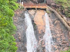 -广州白江湖森林公园