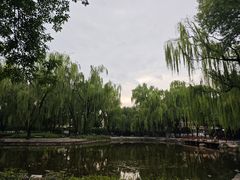 -玲珑塔公园
