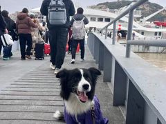 -朱家尖蜈蚣峙码头