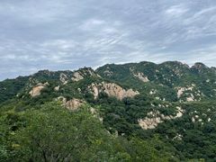 -大岭沟猕猴桃谷风景区