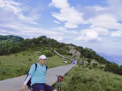 -白草畔自然风景区