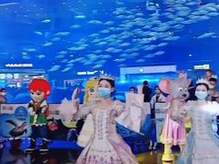 -成都浩海立方海洋公园