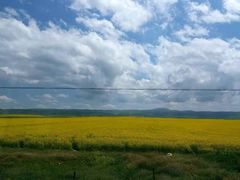 -青海茶卡盐湖文化旅游发展股份有限公司