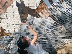 -长白岛森林公园