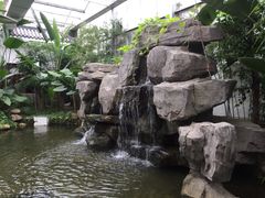 -汤山翠谷生态餐厅