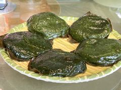 -生态苑农庄(十里画廊遇龙河店)