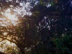 -火炉山森林公园