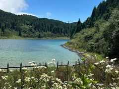 -武陵山森林公园