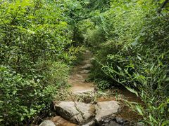 -浙西天池景区