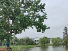 -上海长兴岛郊野公园