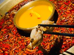 -哥老官重庆美蛙鱼头(宝山龙湖店)