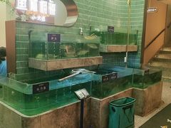 -鱼你相聚·河鲜馆(袁家岭店)