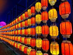 -淄博花灯齐彩城