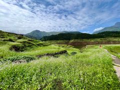 -瓦屋山景区