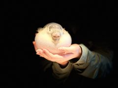 -永安鱼庄·镇江菜(东吴路店)