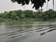 -小洲村