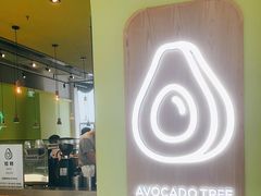 -油梨树AVOCADO TREE(望京店)
