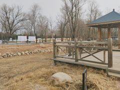 -野鸭湖国家湿地公园