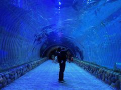 -华夏文旅海洋公园