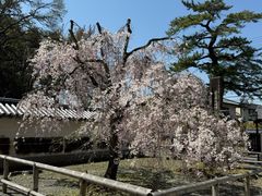 -醍醐寺