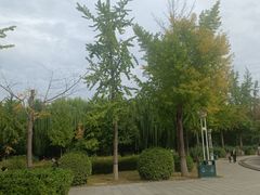 -西清公园