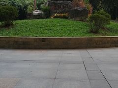 -晓港公园