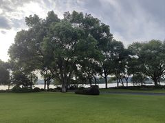 -浙江西子宾馆·瑶园咖啡厅