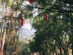 -大雁山风景区