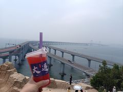 -星海湾跨海大桥