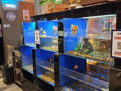 -蚝翅·海鲜粥·烧烤·龙虾季(海曙天一店)