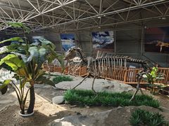 -中国第四纪冰川遗迹陈列馆