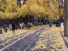 -四川大学(华西校区)