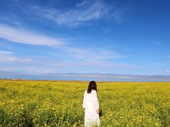 -青海湖国家重点风景名胜区