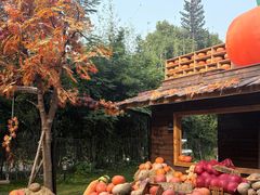 -HERRE·FARM 赫尔露营农场·团建聚会包场