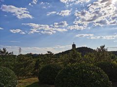 -永定河休闲森林公园