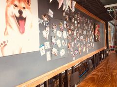 大堂-柴犬高等学院·狗咖·柴犬售卖·宠物训练