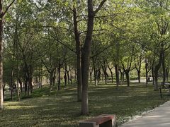 -秀水公园